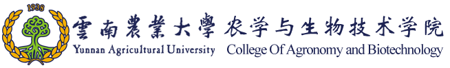 304am永利集团